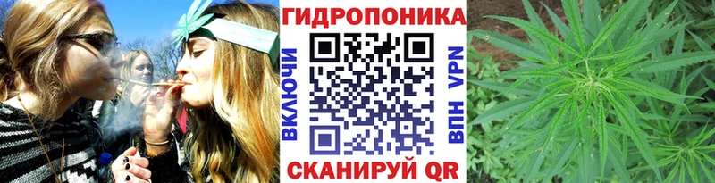 Бошки марихуана индика  Руза 